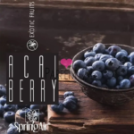 ROIN_Spring Air_náplň do osviežovača_Acai-Berry