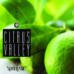 Spray Citrus Valley 250ml_new
