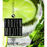 frozen-mojito